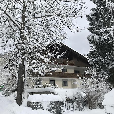 Amadee Appartements 巴德小基希海姆 外观 照片