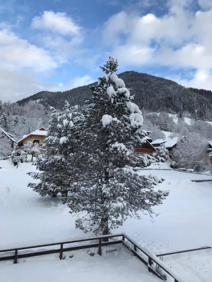 Amadee Appartements 巴德小基希海姆 外观 照片