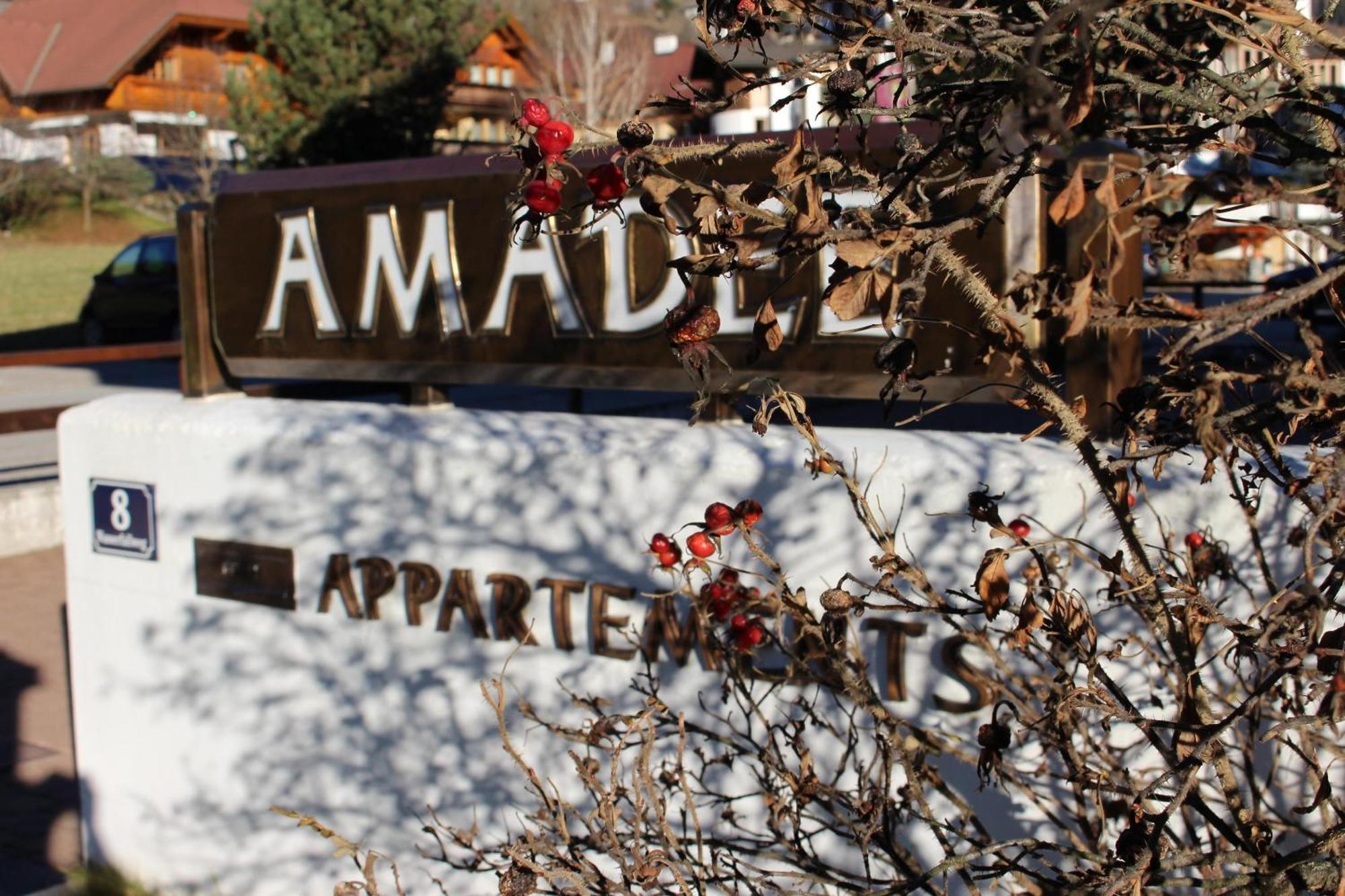 Amadee Appartements 巴德小基希海姆 外观 照片