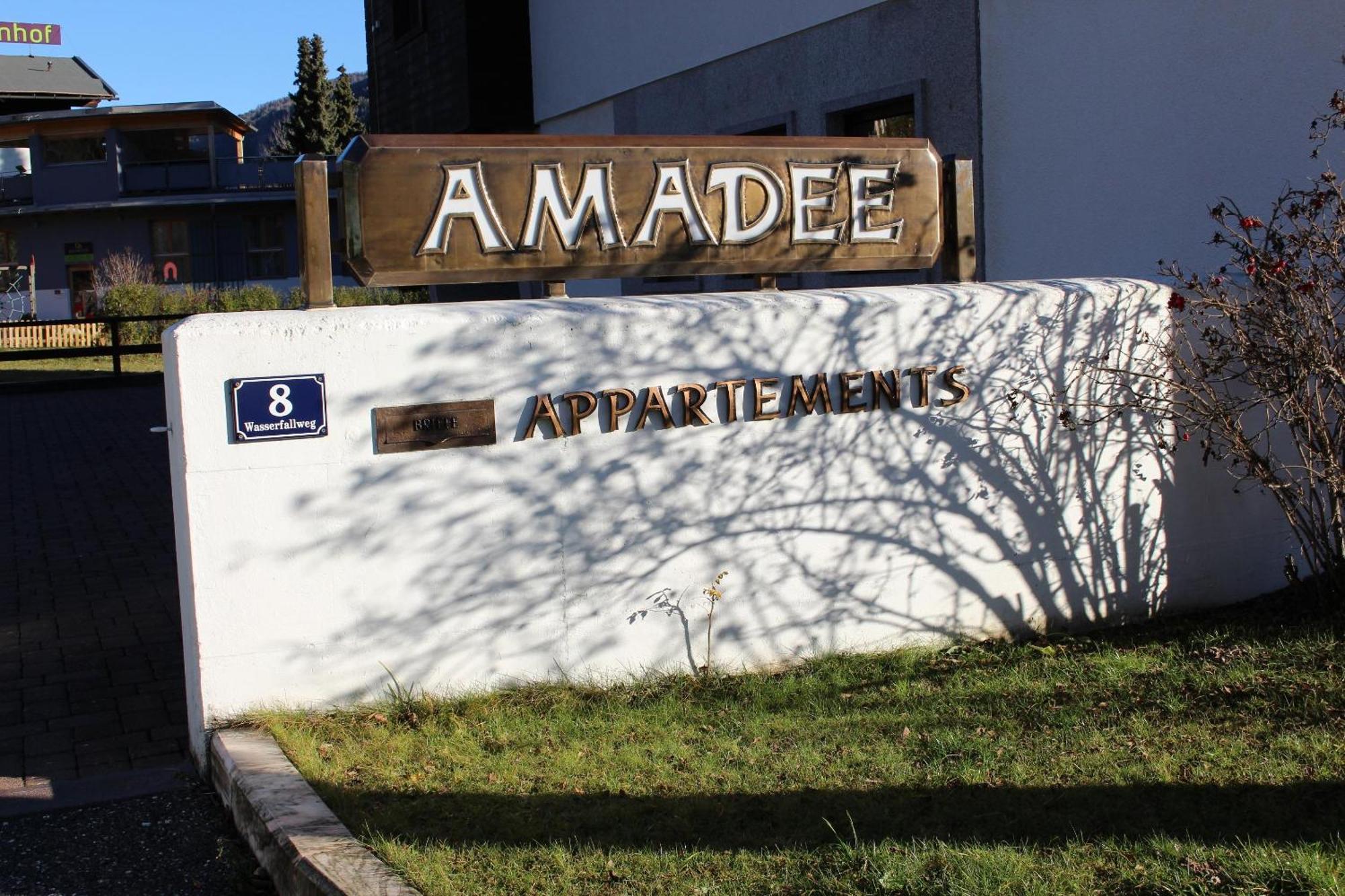 Amadee Appartements 巴德小基希海姆 外观 照片