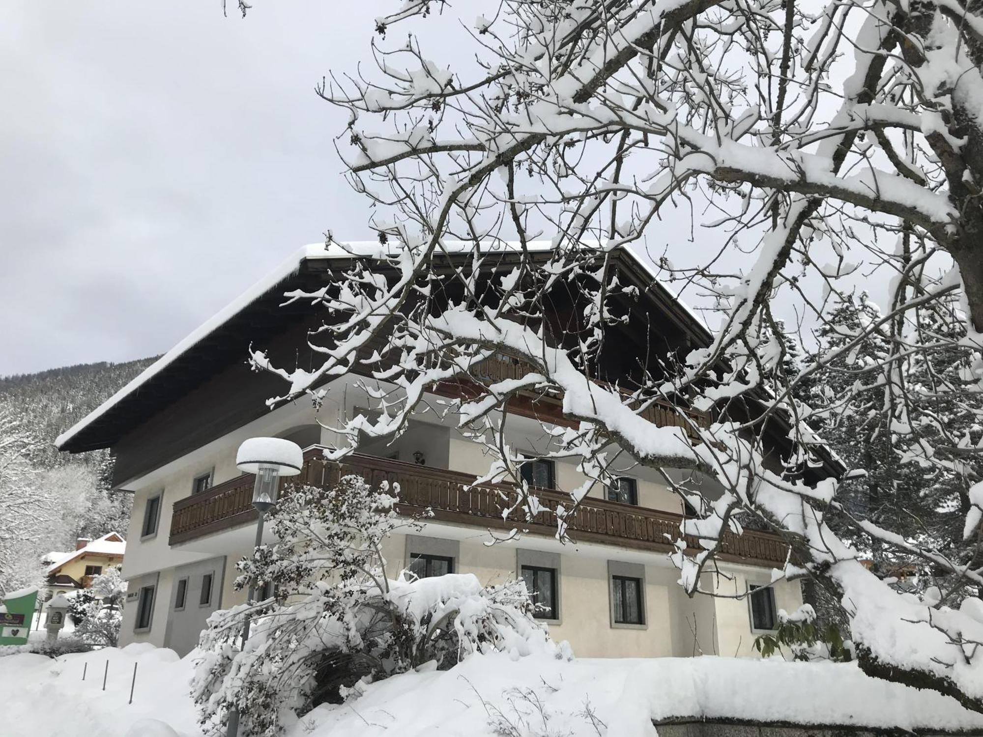 Amadee Appartements 巴德小基希海姆 外观 照片