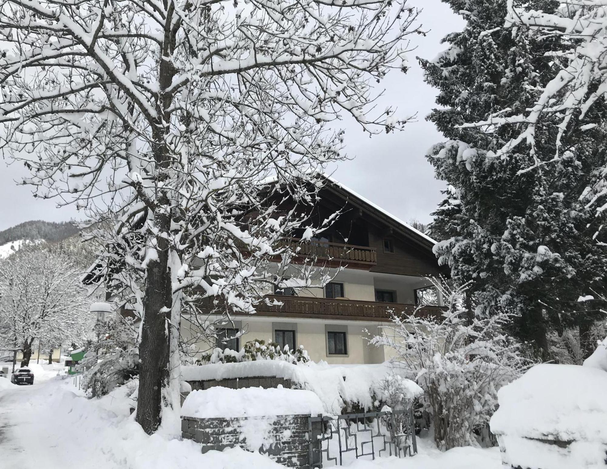 Amadee Appartements 巴德小基希海姆 外观 照片